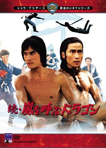 VINGADORES DE SHAOLIN